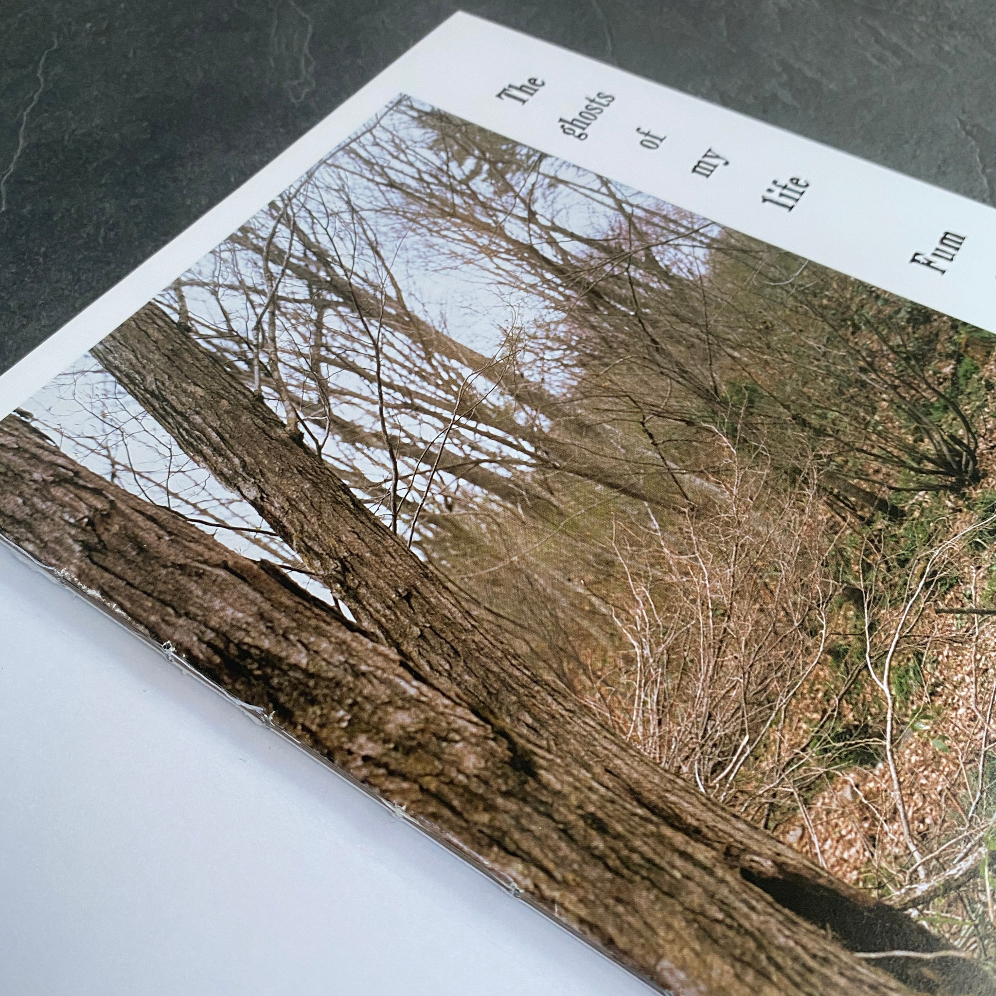 The ghosts of my life｜Fumio Tachibana｜立花文穂